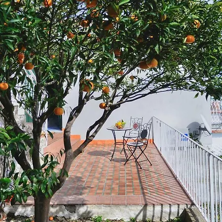 Chez Amelie Tatil Evi *